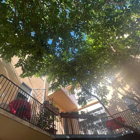 Casa Roma Rooms& Apartmens بادوفا المظهر الخارجي الصورة