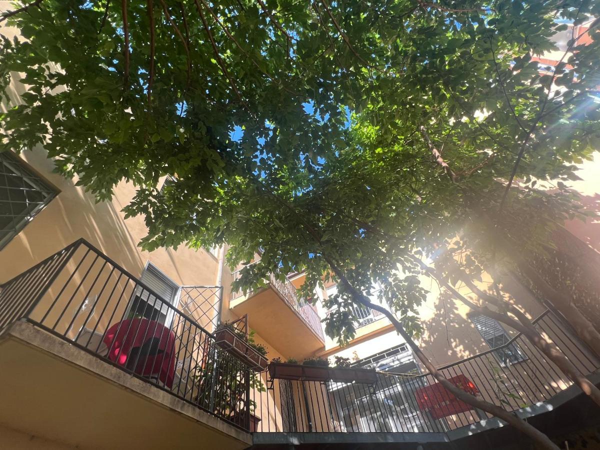 Casa Roma Rooms& Apartmens بادوفا المظهر الخارجي الصورة